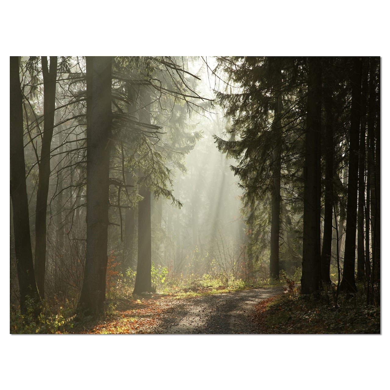 Designart - Dark Green Forest with Sun Rays - Landscape Photography Canvas Print